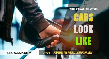 Exploring the Unique Design of Electric Shock-Powered Vehicles
