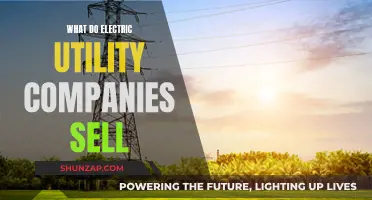 Powering Our World: The Essential Services of Electric Utility Companies