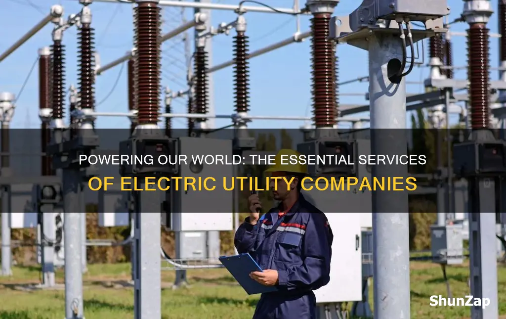 what do electric utility companies sell