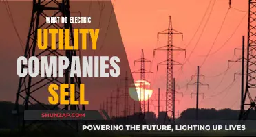 Electric Utility Companies: Powering Homes and Businesses