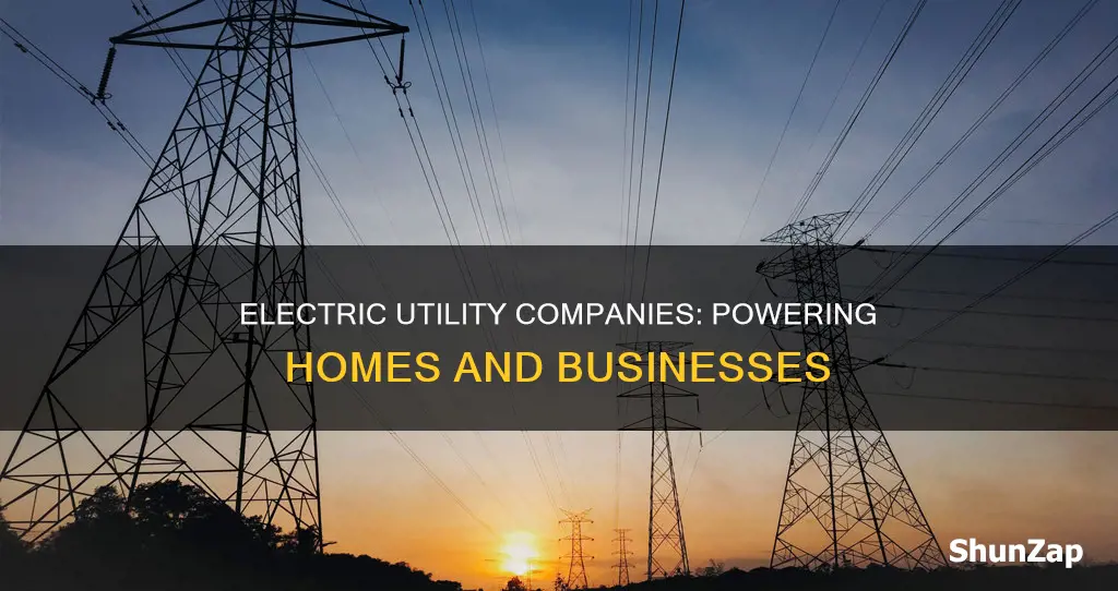 what do electric utility companies sell