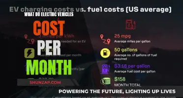 Electric Vehicle Costs: Monthly Breakdown for Eco-Friendly Drivers