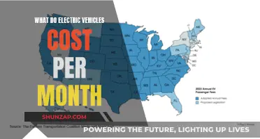 Monthly Costs of Electric Vehicles: How Much?