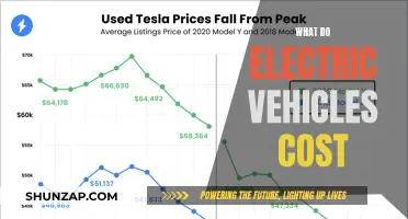 Electric Vehicles: Unlocking the True Cost of Green Driving