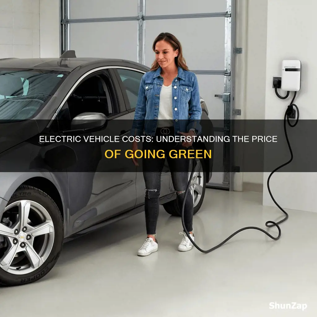 what do electric vehicles cost