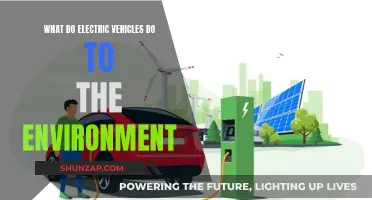 Electric Vehicles: Green Revolution or Environmental Trade-Off?