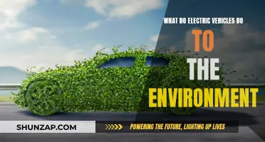 Electric Vehicles: Environmental Impact and the Future