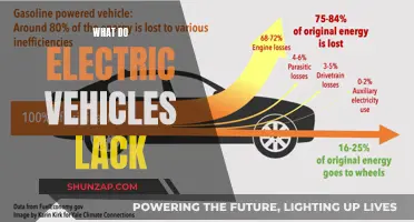 Electric Vehicles: Powering the Future, Yet Lacking Essential Features