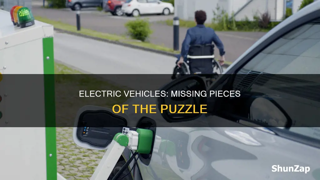 what do electric vehicles lack