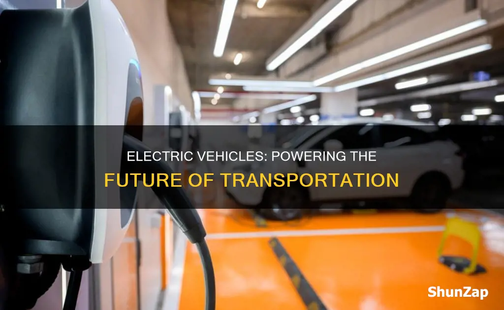 what do electric vehicles run on