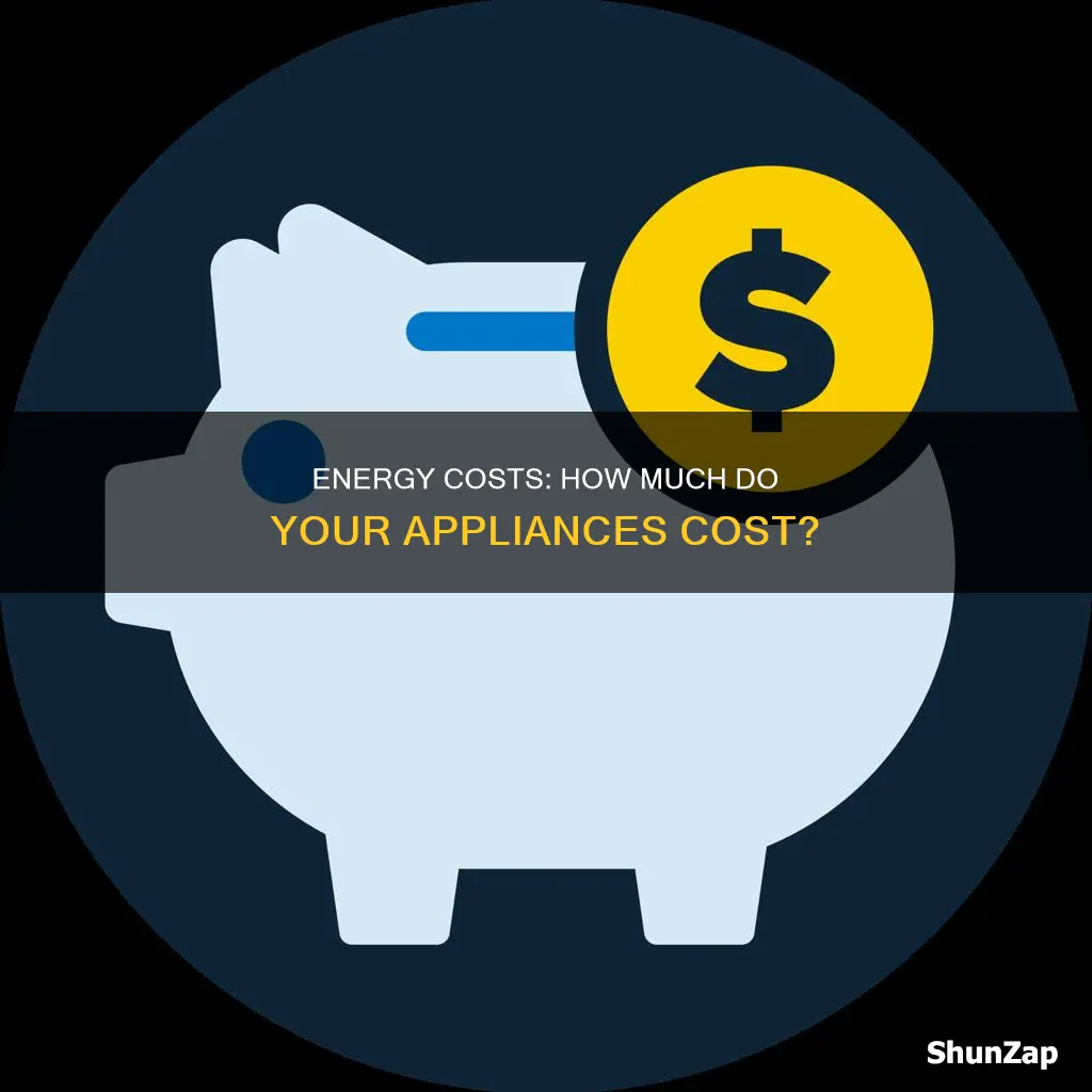 what do electrical appliances cost to run