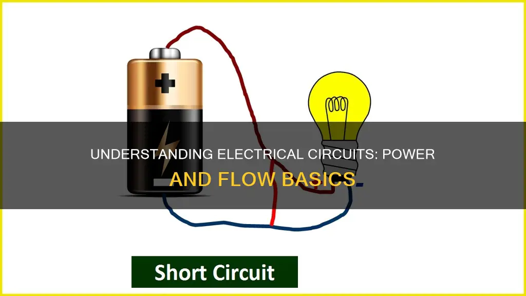 what do electrical circuit mean