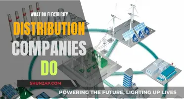 Powering Our World: The Role of Electricity Distribution Companies