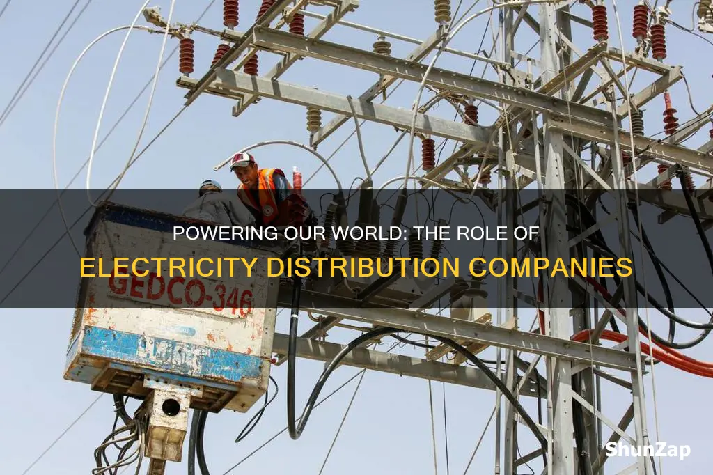 what do electricity distribution companies do