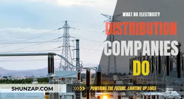 Electricity Distribution Companies: Powering Homes and Businesses