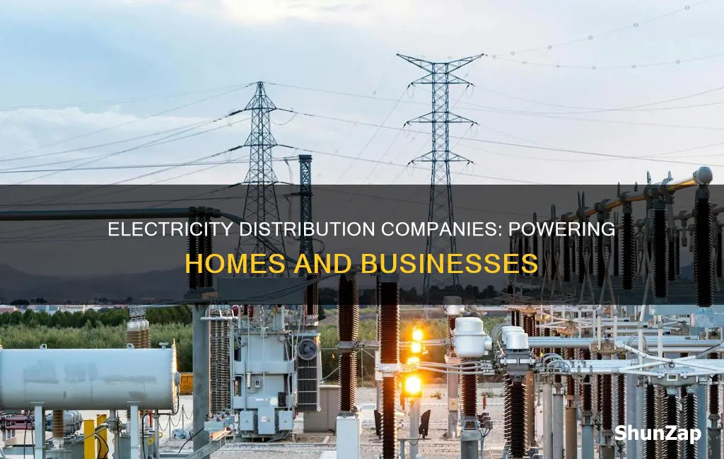 what do electricity distribution companies do