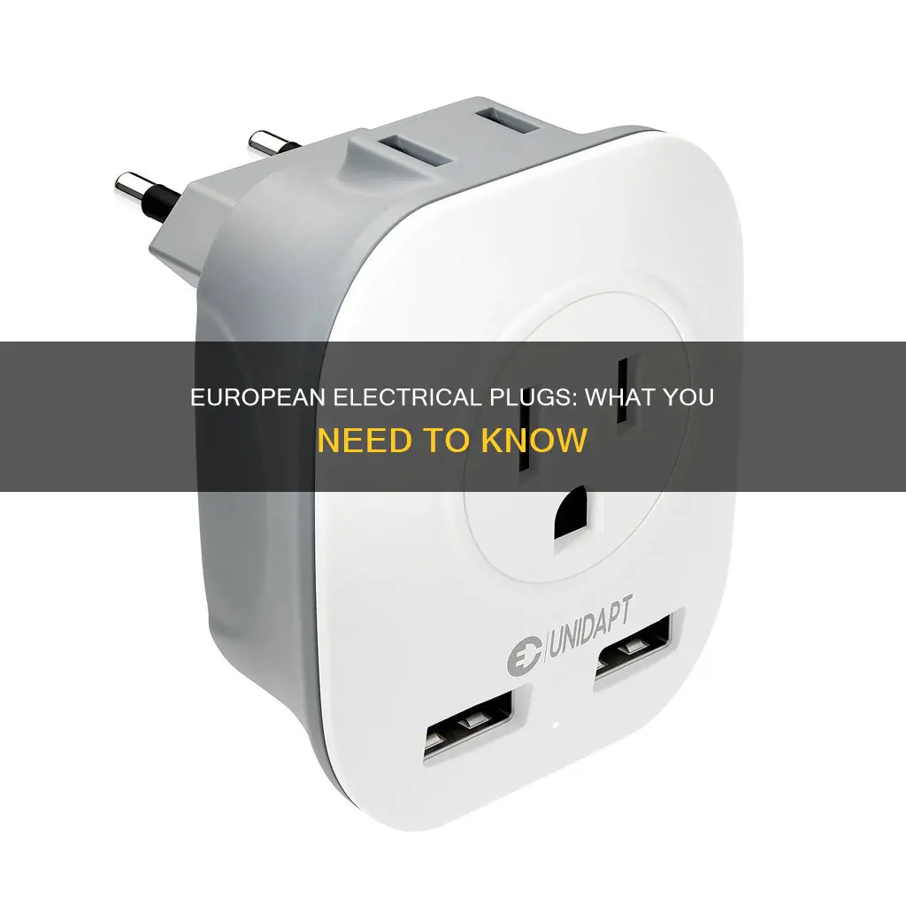 what do european electrical plugs look like