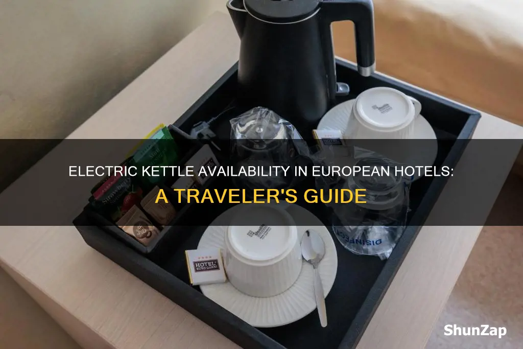 what do european hotels mean by electric kettle