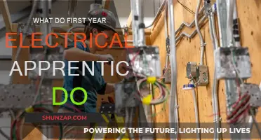 First-Year Electrical Apprentices: Learning the Basics