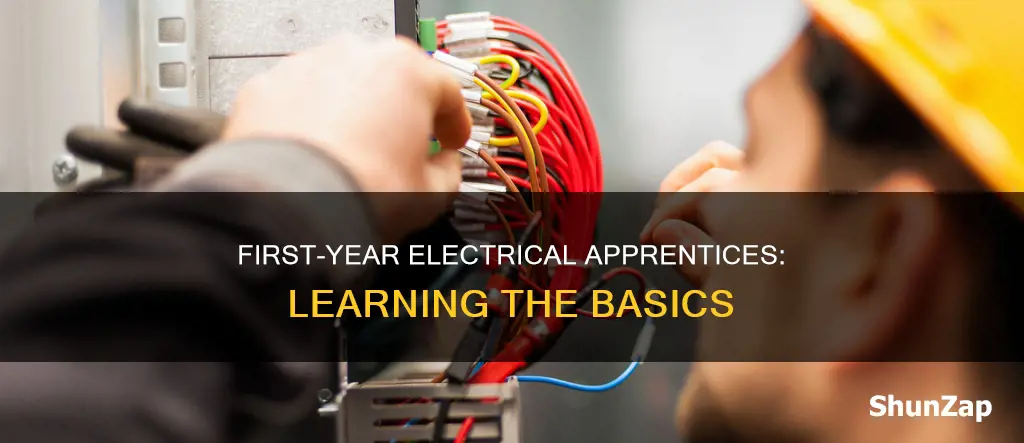 what do first year electrical apprentices do