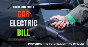 Electric Car Ownership: Essential Purchases to Manage Your Energy Costs