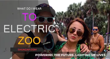 Electric Zoo Style Guide: What to Wear