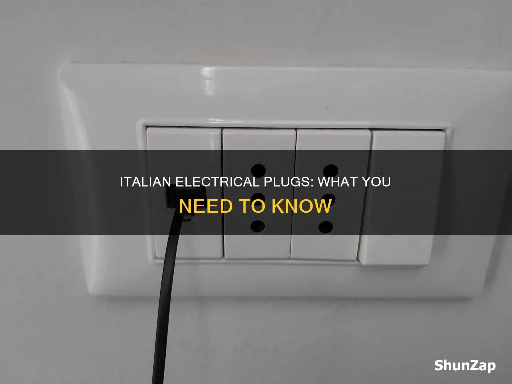 what do italian electrical plugs look like