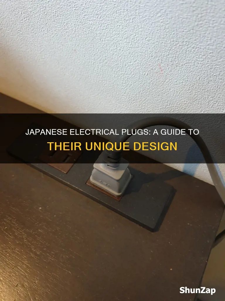what do japanese electrical plugs look like