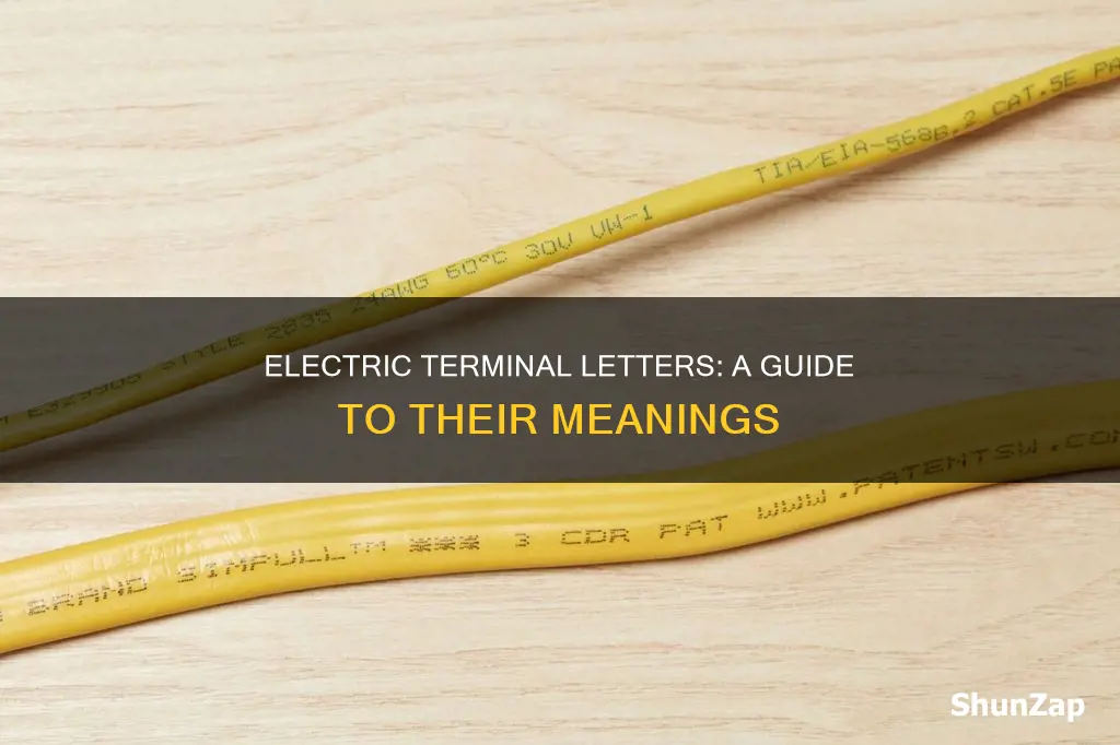 what do letter on electric terminals mean
