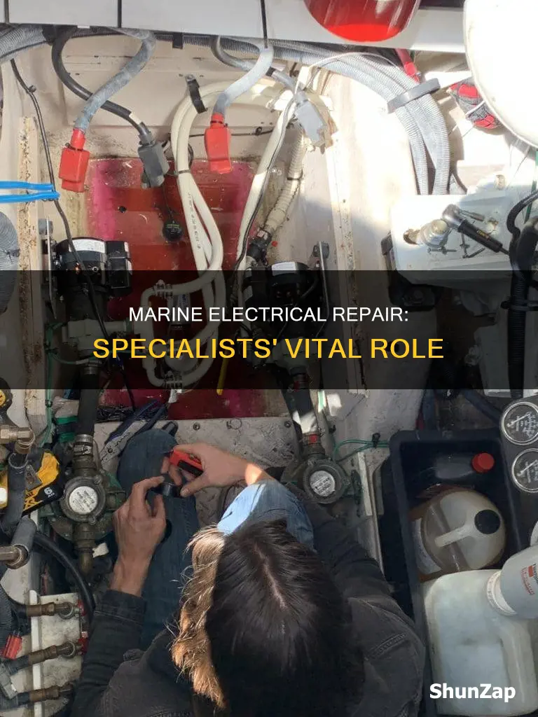 what do marine electrical repair specialist do