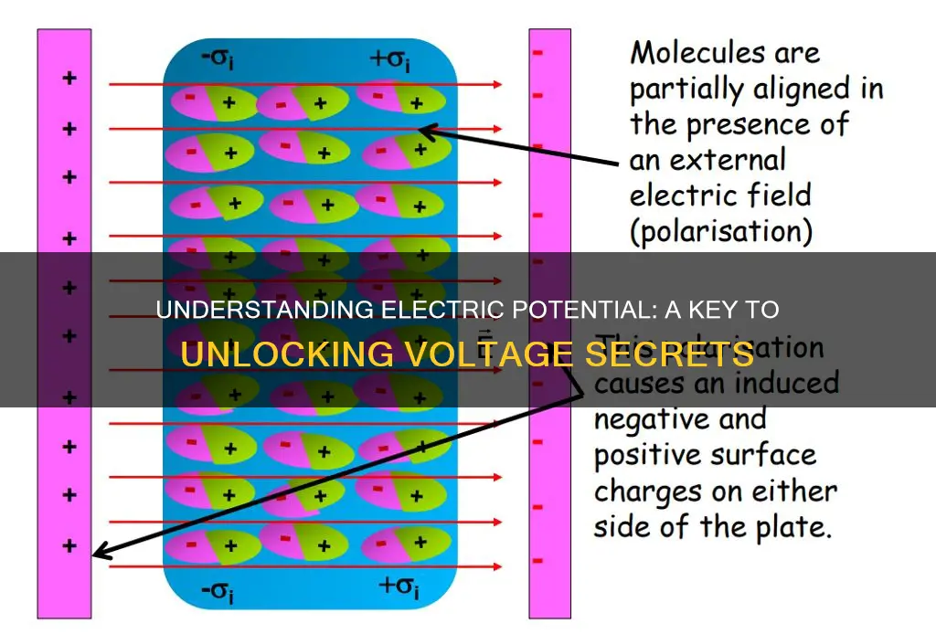 what do mean by electric potential
