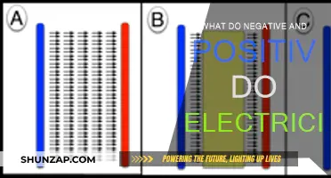 The Power of Electricity: Positive and Negative Forces
