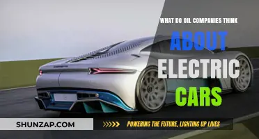 Oil Giants' Perspective: Electric Vehicles' Impact on the Energy Industry