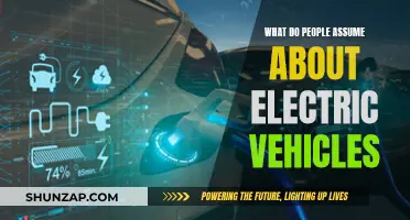 Electric Vehicles: Debunking Common Assumptions and Misconceptions