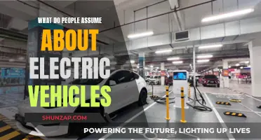 Electric Vehicle Owners: Busting Myths and Assumptions