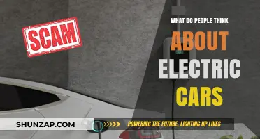 Electric Cars: Public Opinions, Myths, and Real-World Experiences
