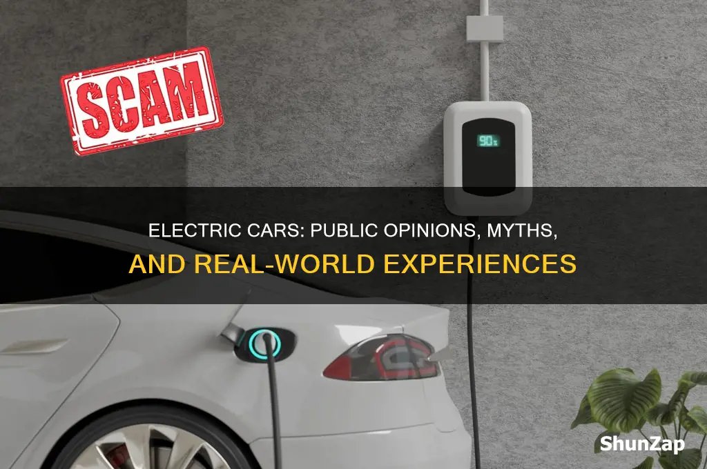 what do people think about electric cars