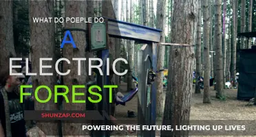 Electric Forest: Music, Art, and Community