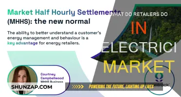 Retailers' Role in Electricity Markets: Buying, Selling, and More