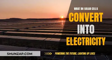 Solar Power: Converting Sunlight to Electricity