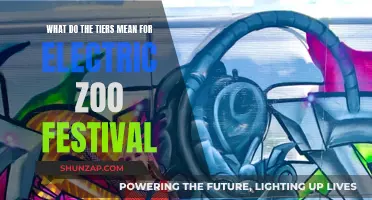 Electric Zoo Festival: Tiers, Benefits, and Your Experience