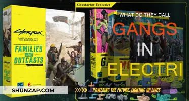 Electric Gangland: A New Era of Criminal Networks