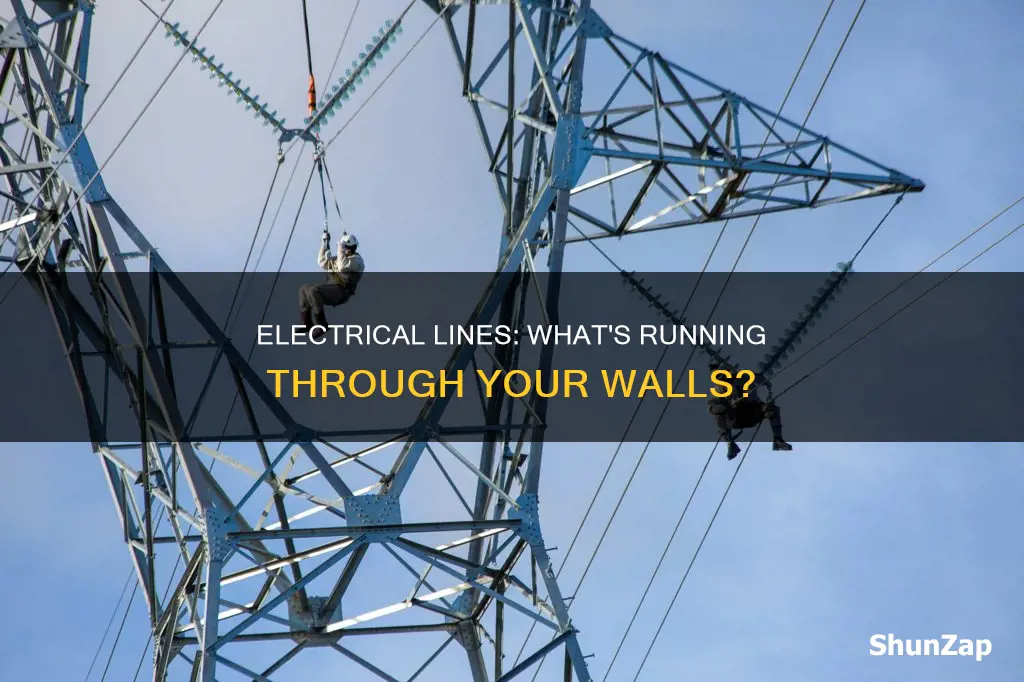 what do they run in electrical lines