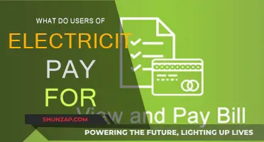 Understanding the Cost of Electricity Usage