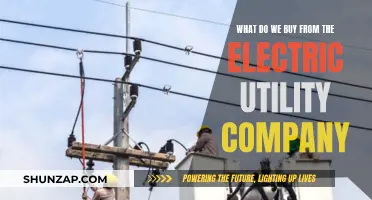 Powering Our Homes: Understanding Electric Utility Services and Costs