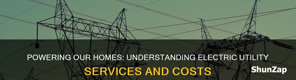 what do we buy from the electric utility company