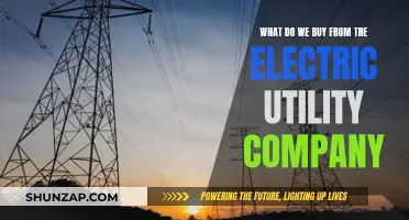 Electric Utility Company: What Do We Buy?