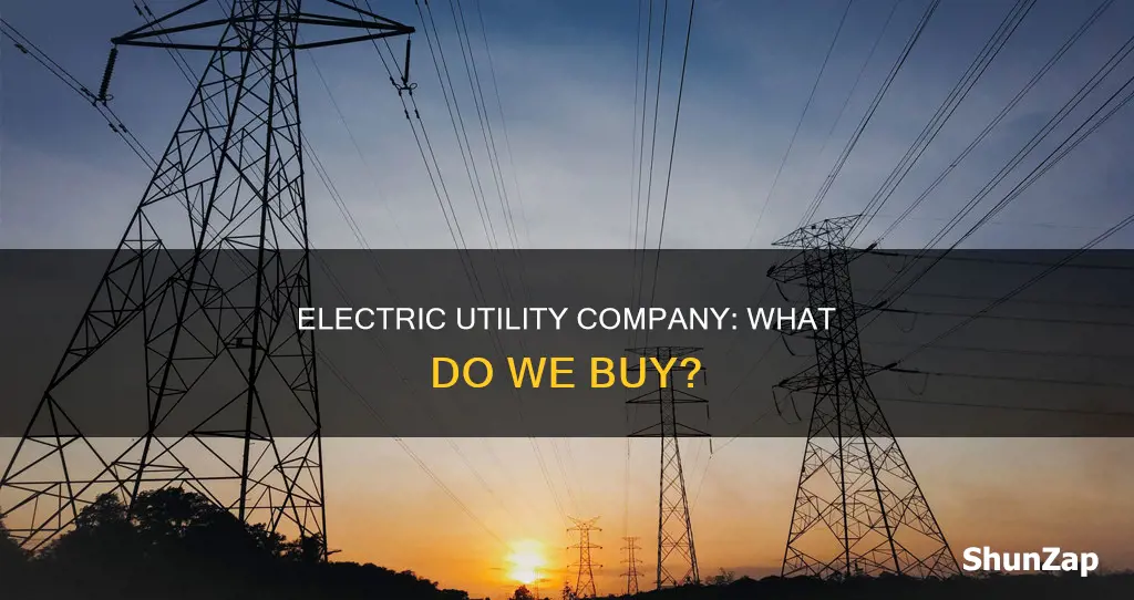 what do we buy from the electric utility company