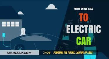 What’s the Right Term for an Electric Car? Let’s Explore
