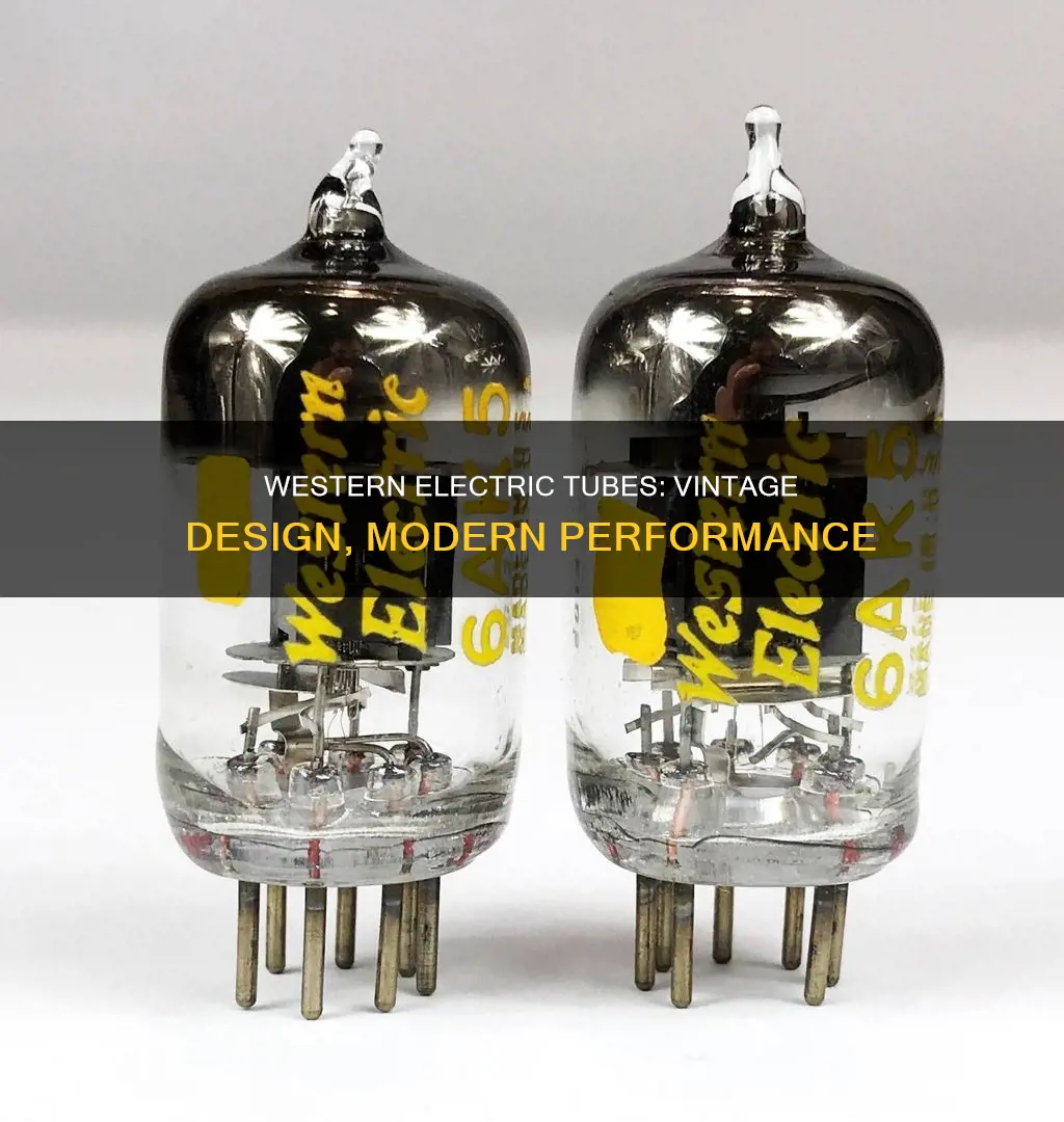 what do western electric tubes look like